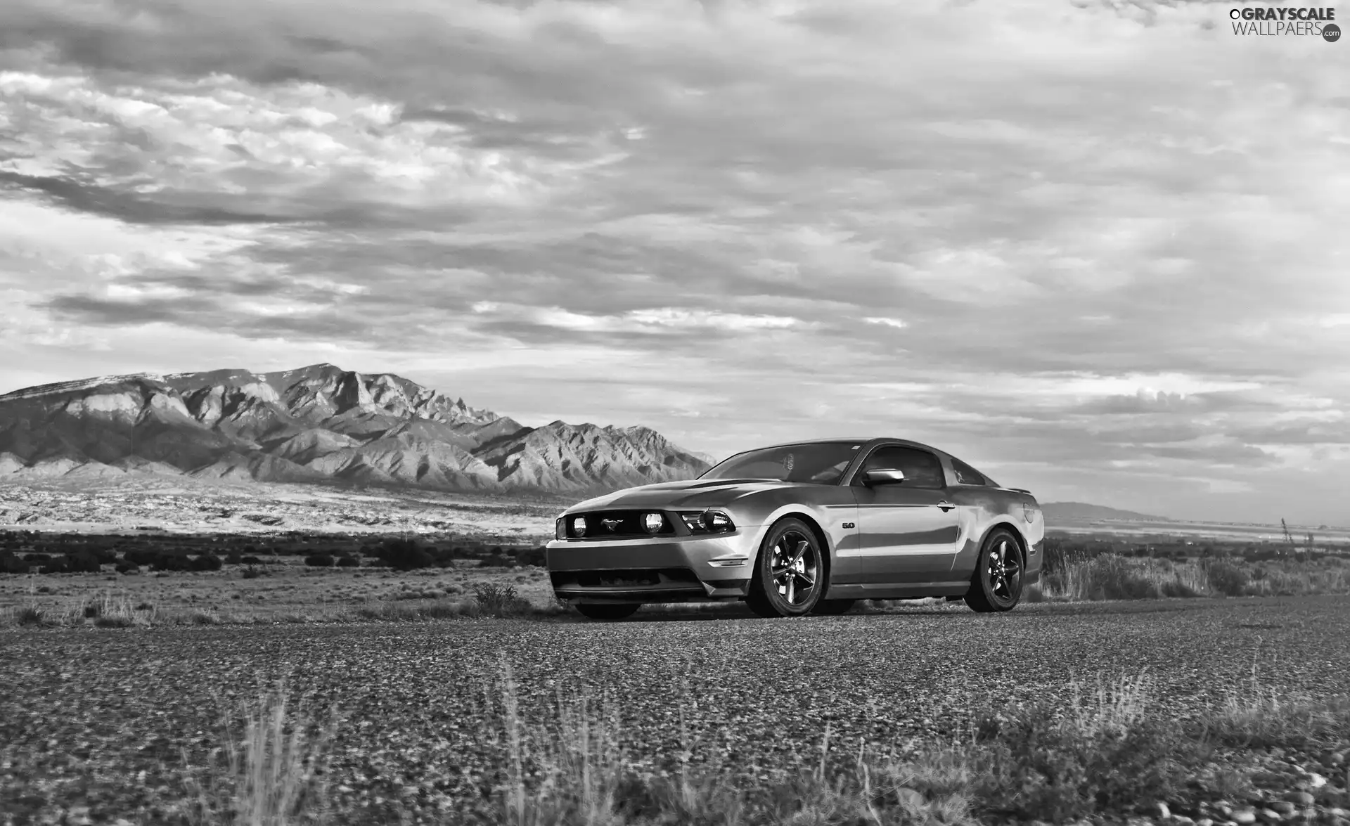 Ford, Way, Desert, Mustang