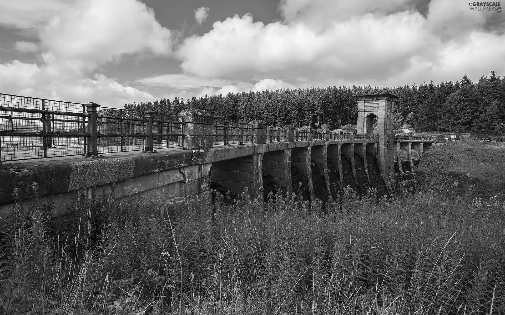 River, Flowers, dike, forest
