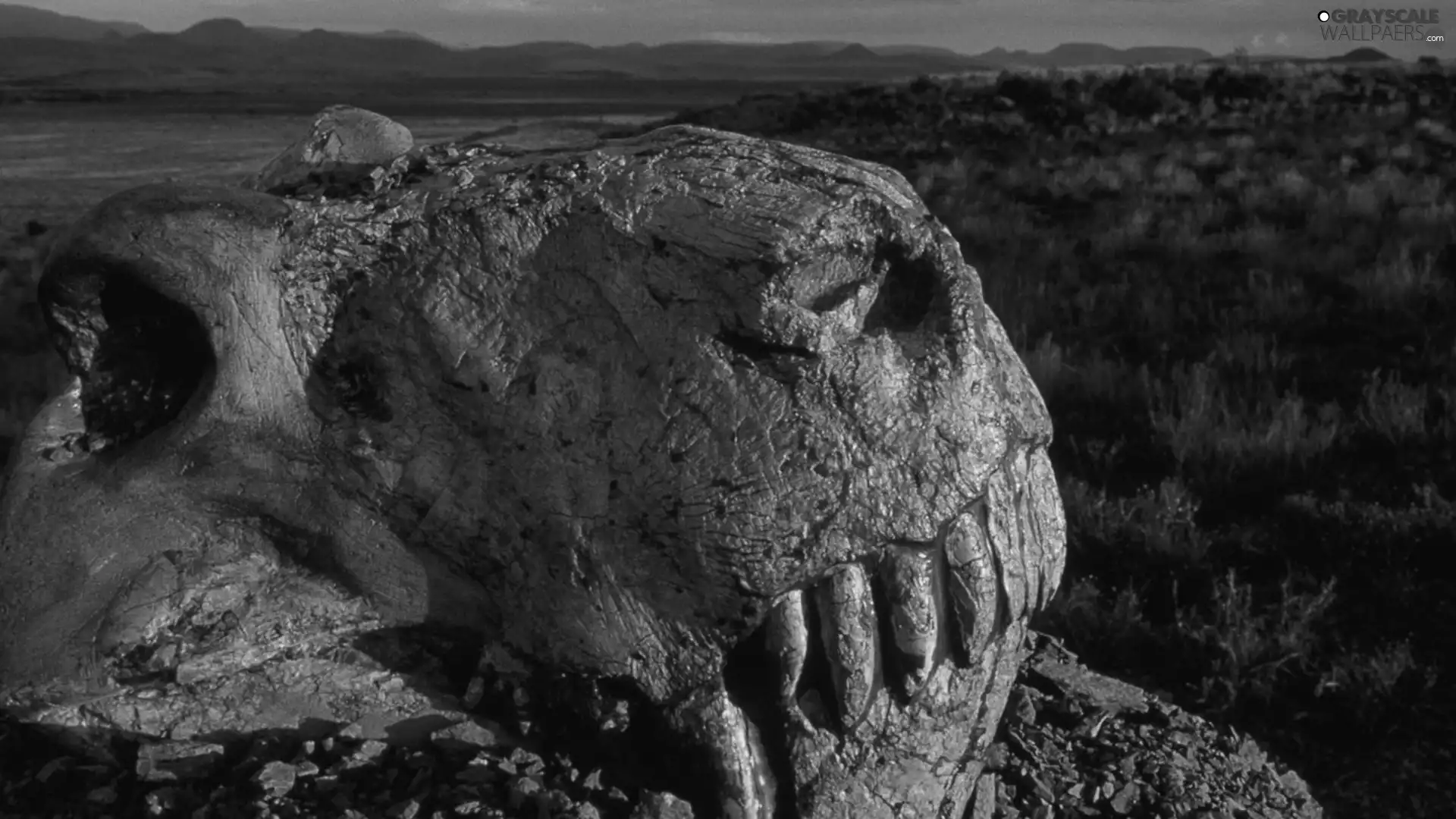 dinosaur, mountains, skull