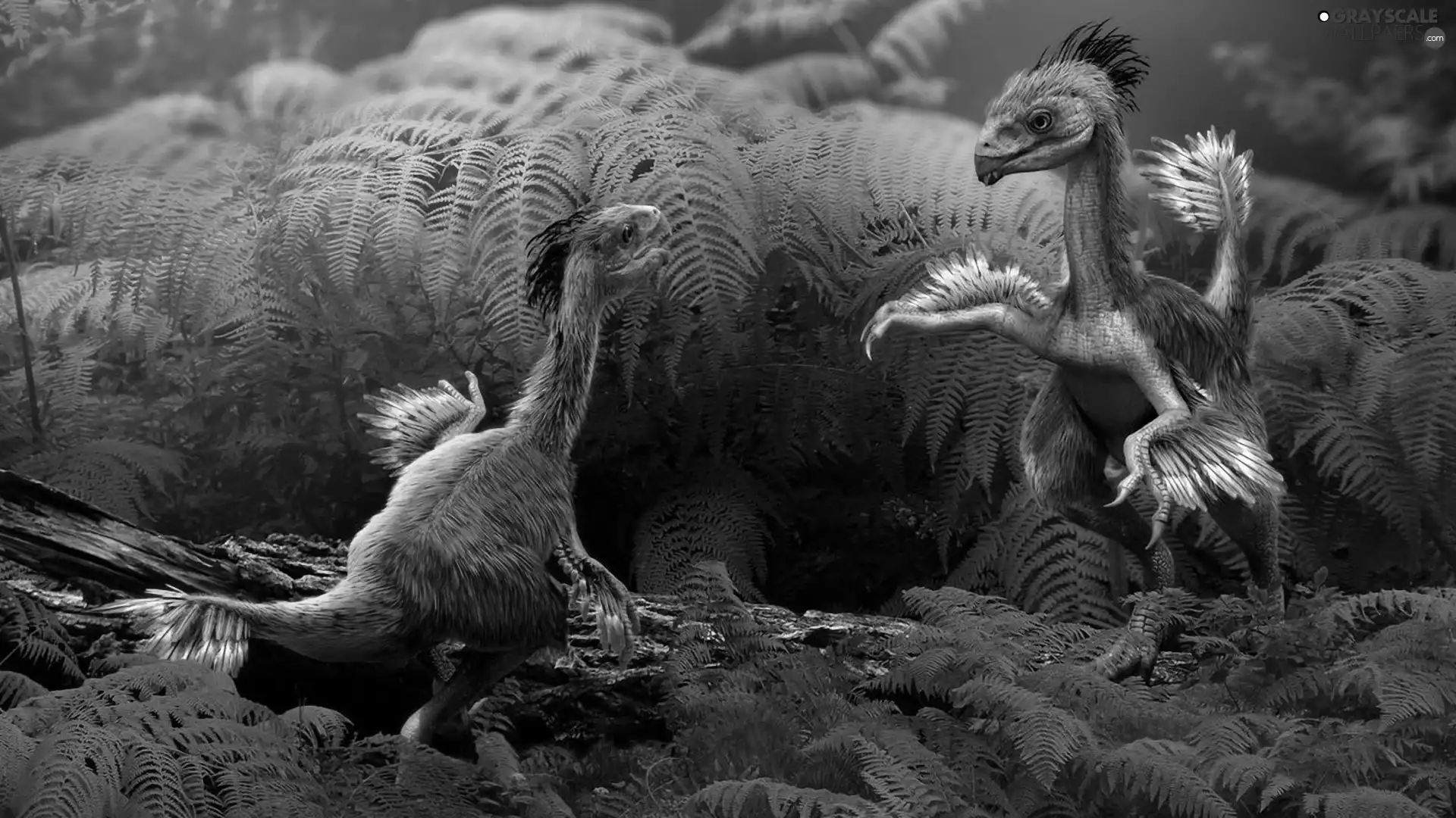 fern, feathered, dinosaurs, little doggies