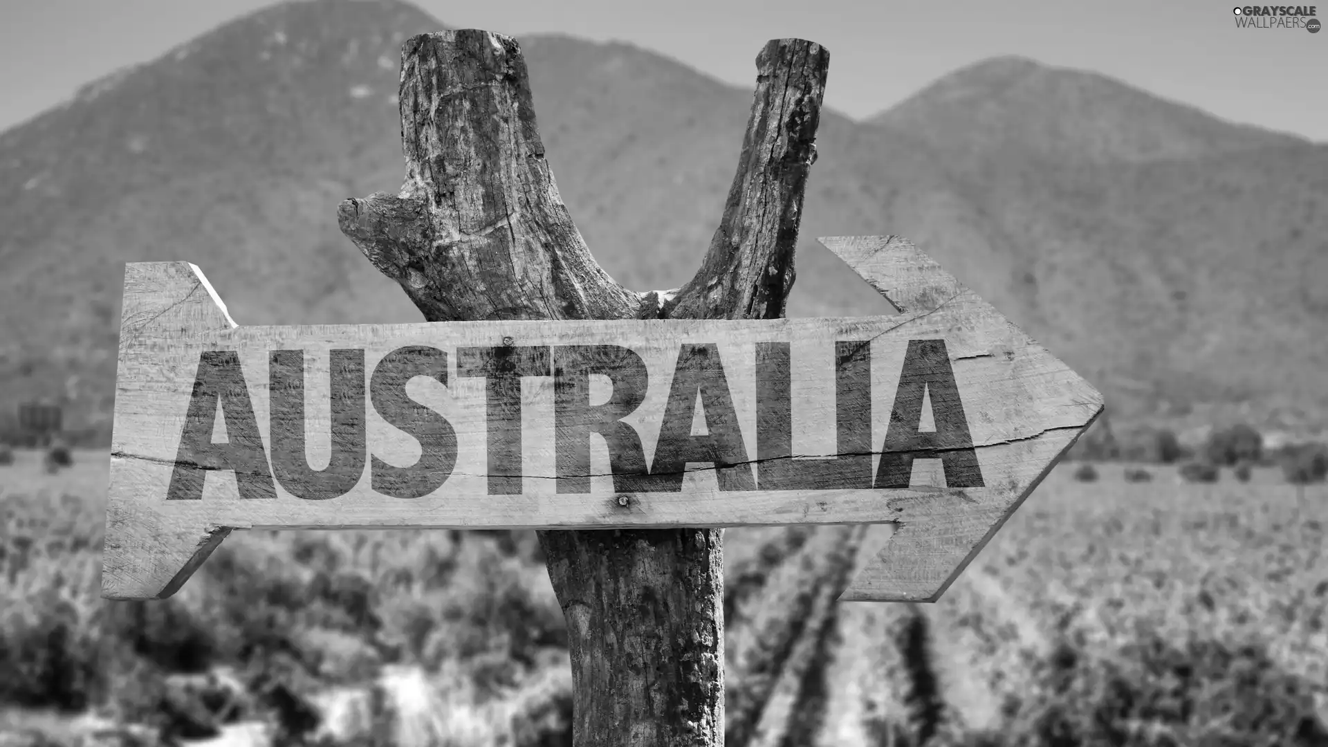 Australia, sign-post, direction, text, Sign