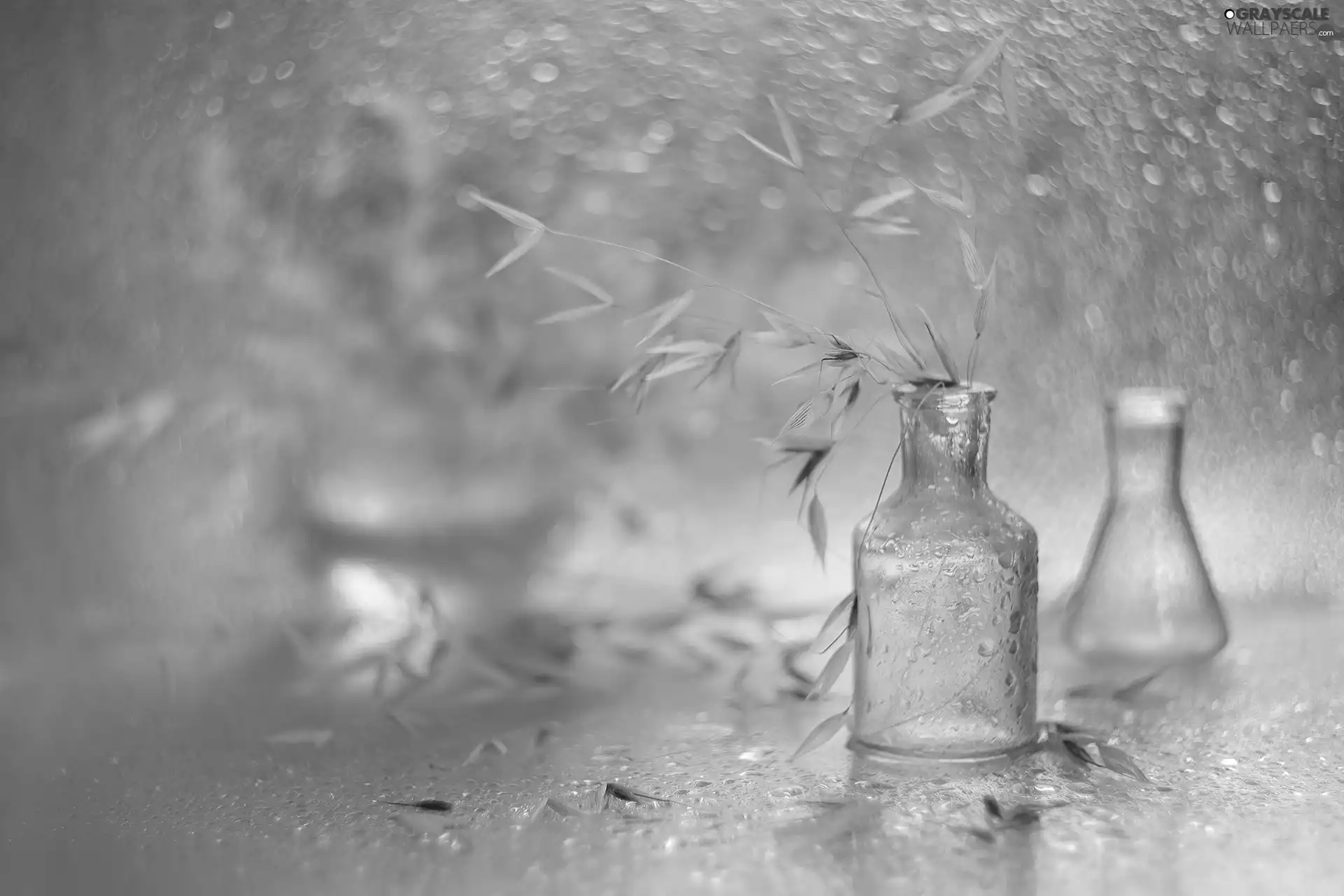 glass, dry, grass, dishes