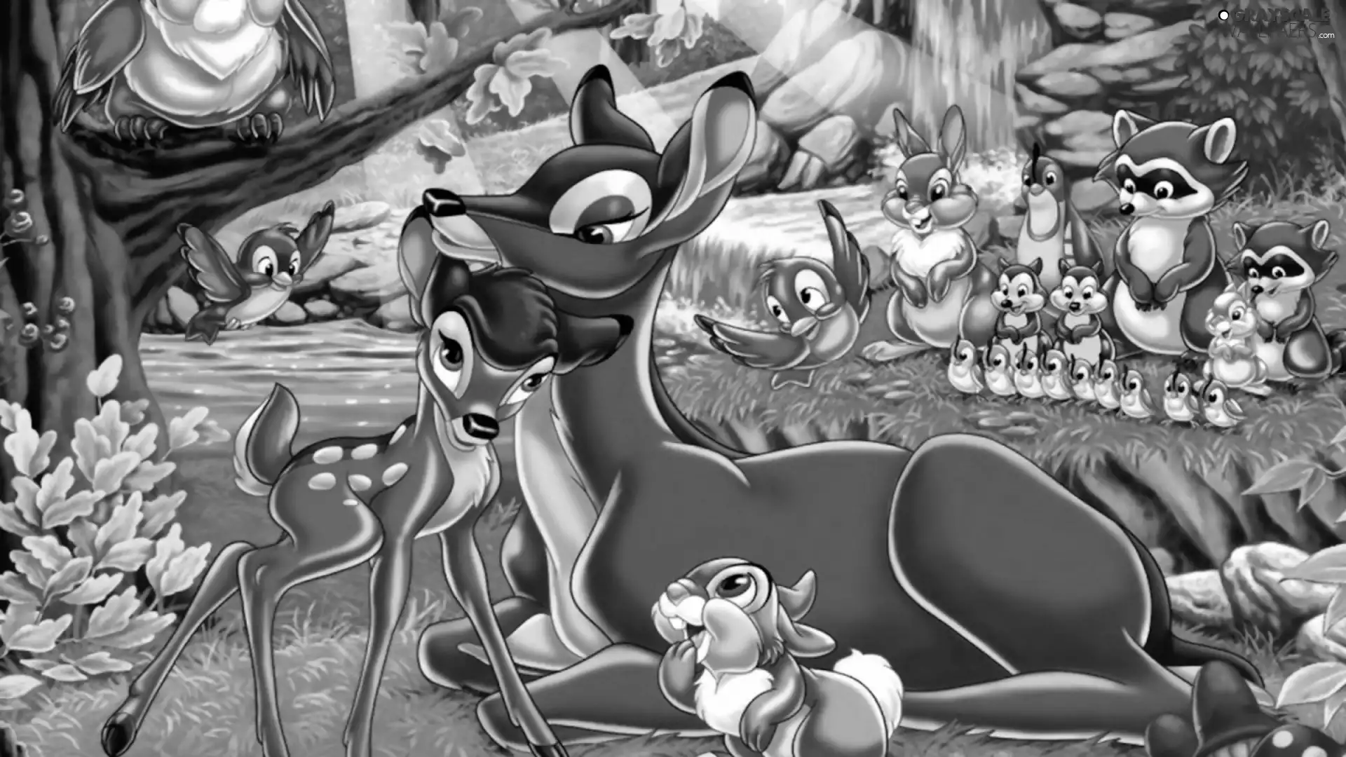 bulls, Disney