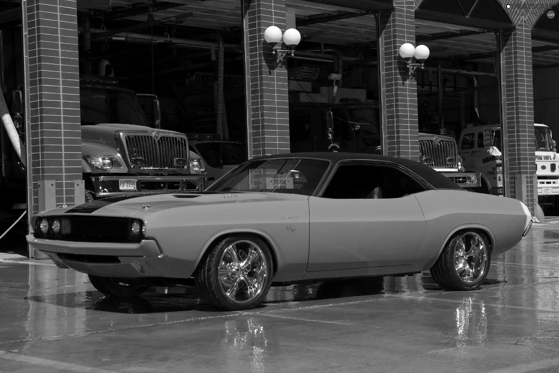 Dodge Challenger