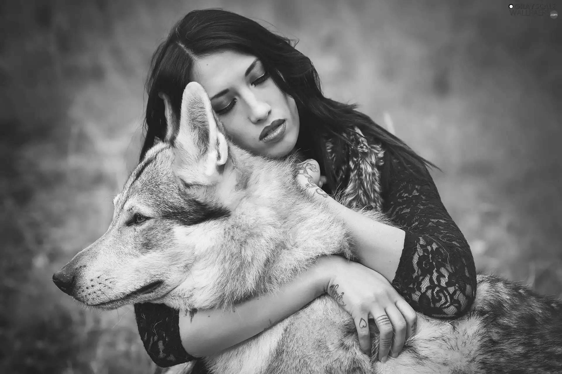 Women, dog, Czechoslovakian Wolfdog, brunette