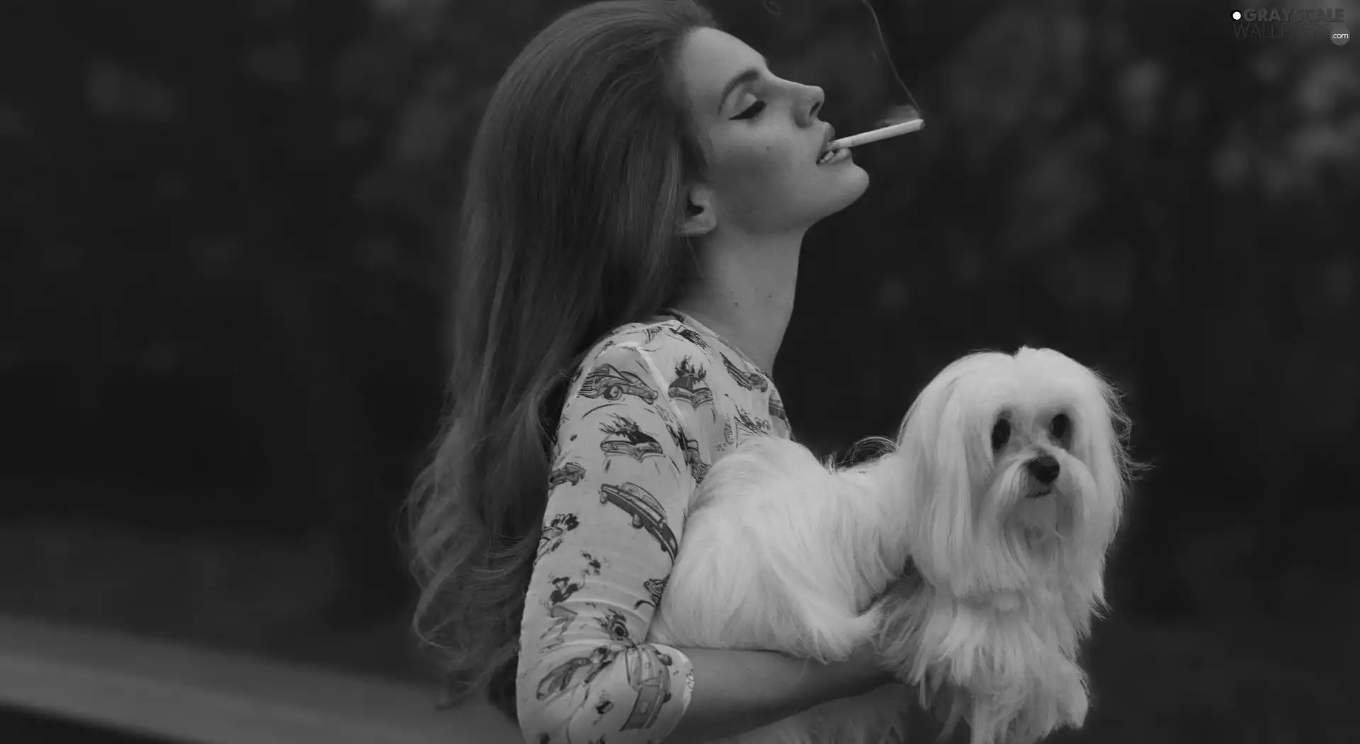 Lhasa Apso, Lana Del Rey, dog