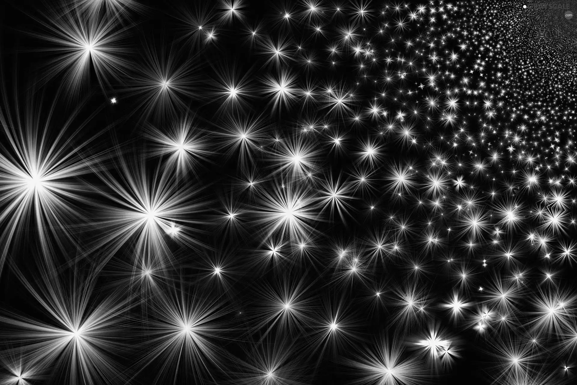 star, texture, little doggies, Big, color