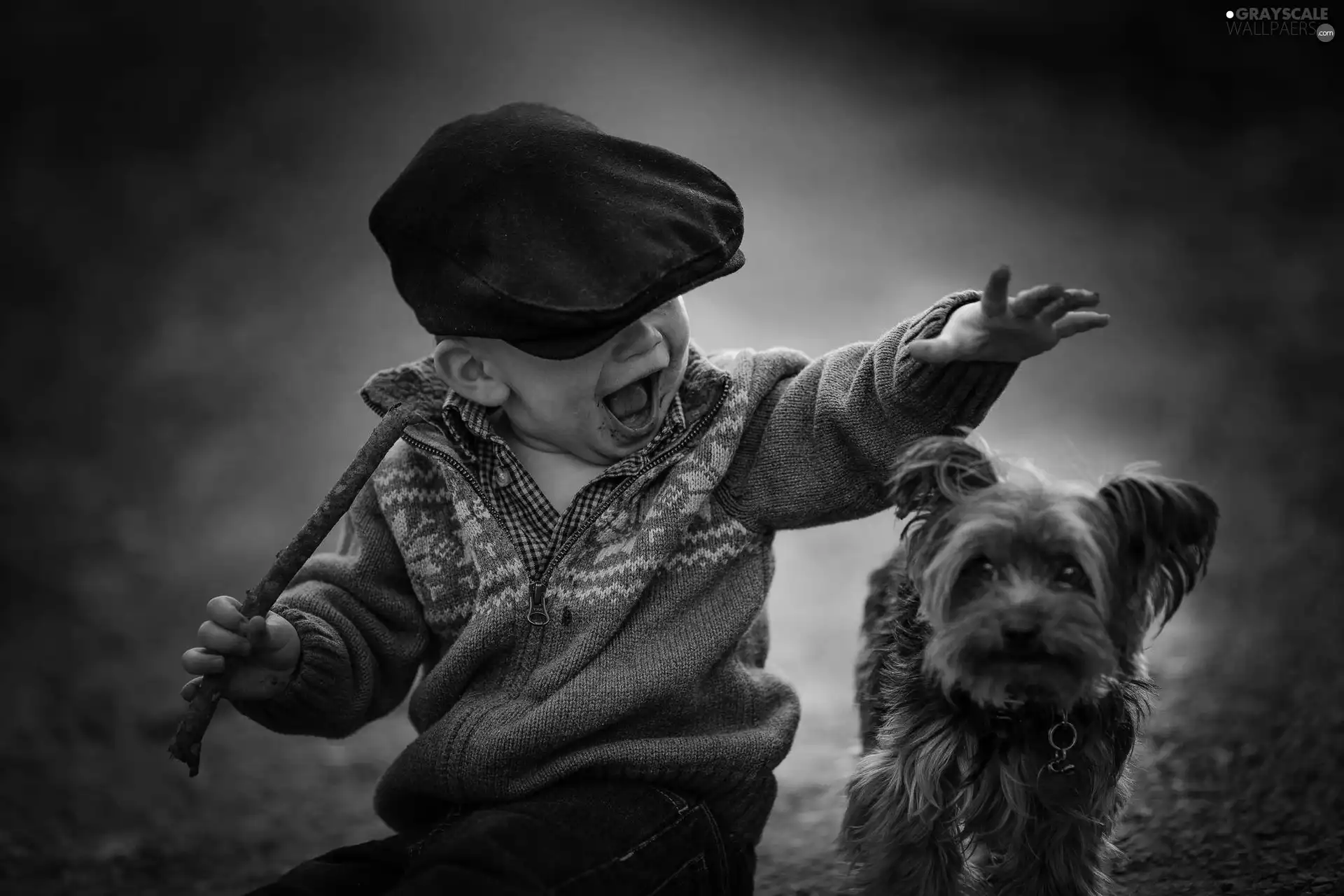 doggy, boy, Hat