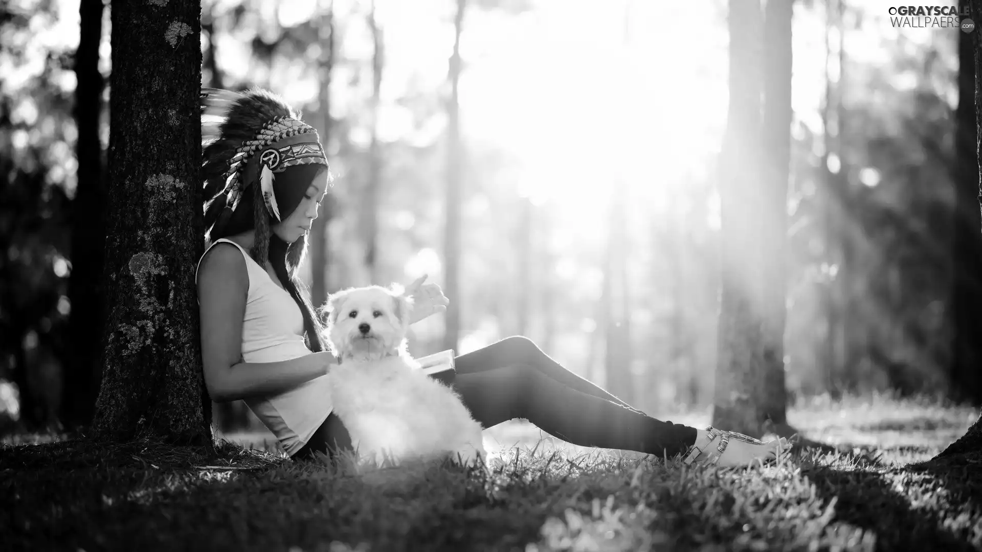 forest, plume, rays, doggy, girl, car in the meadow, sun