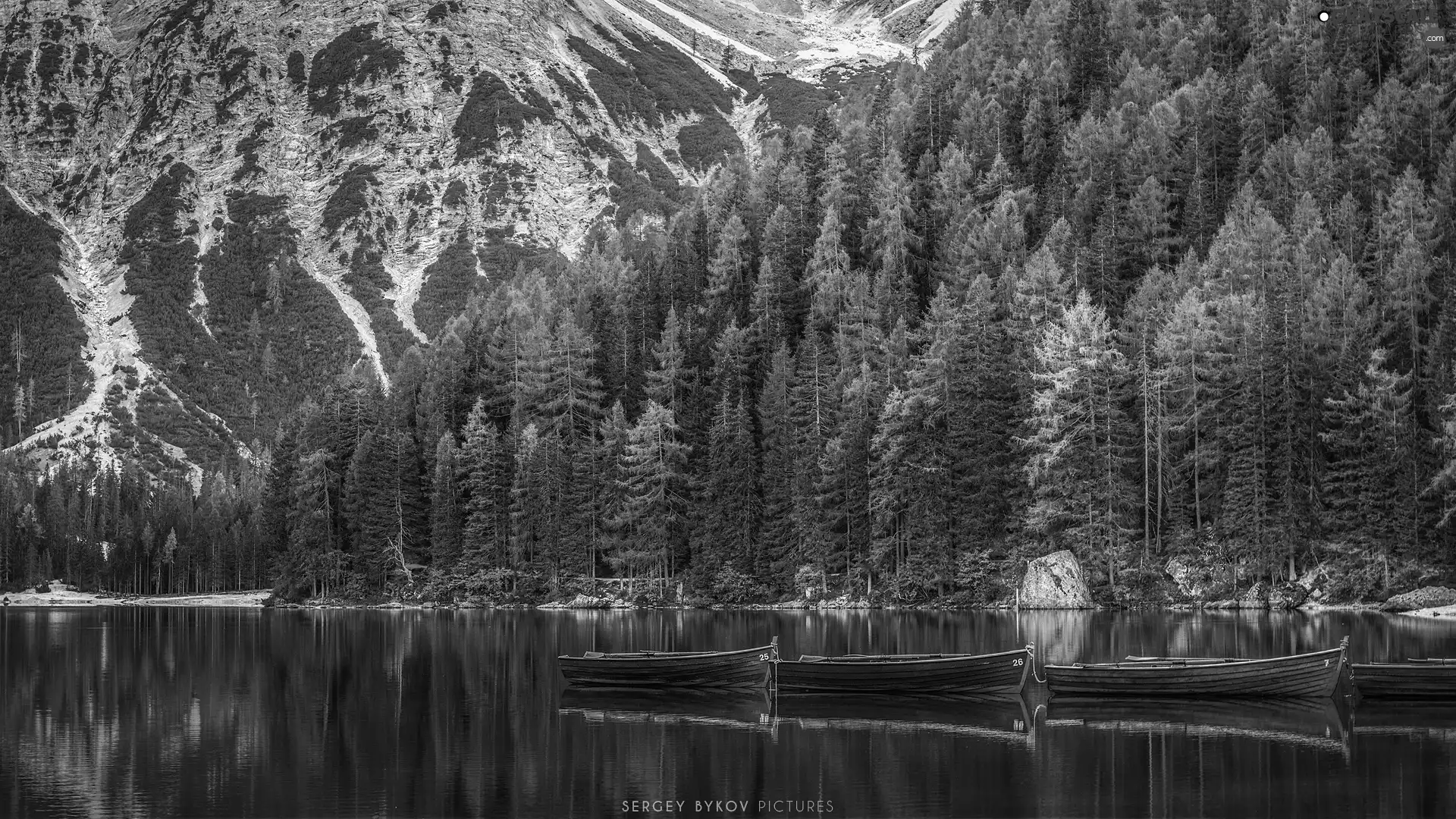 trees, South Tyrol, Pragser Wildsee Lake, Dolomites Mountains, Italy, viewes, boats