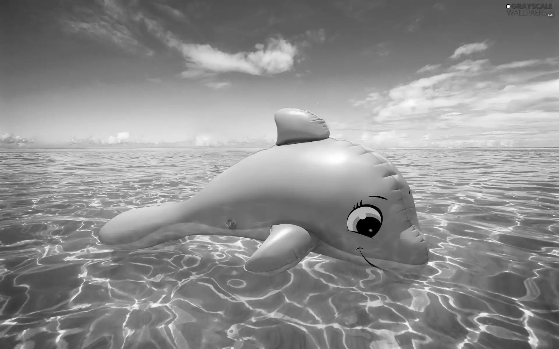 sea, Inflatable, dolphin, Pink