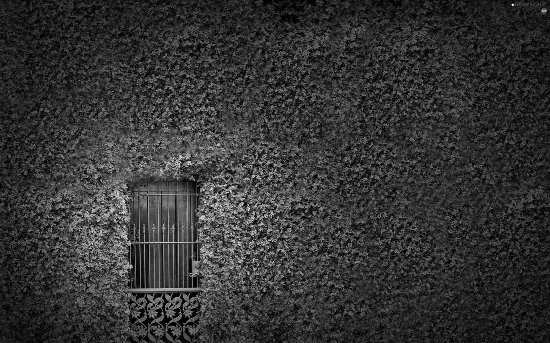 Garden, Doors