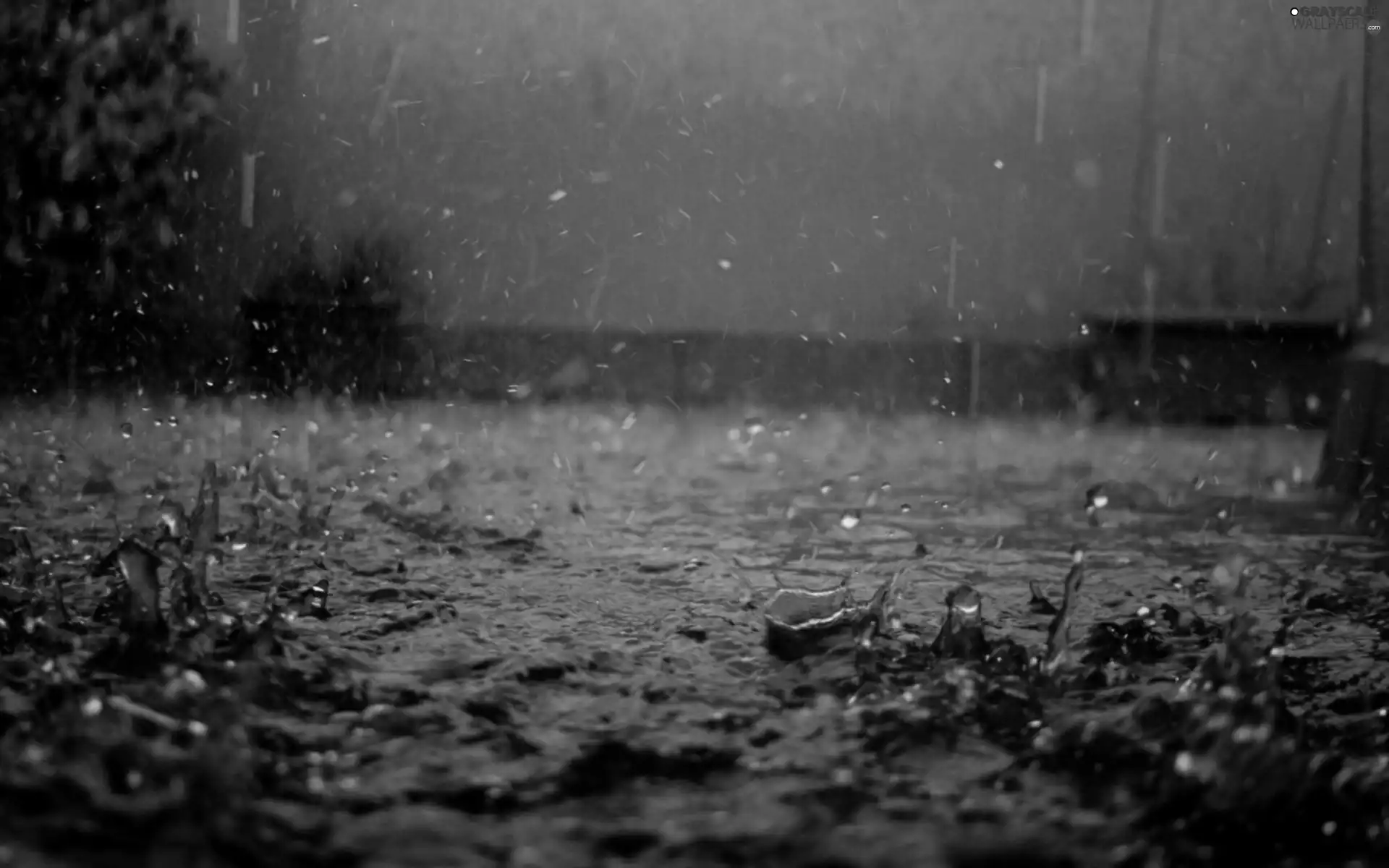 downpour