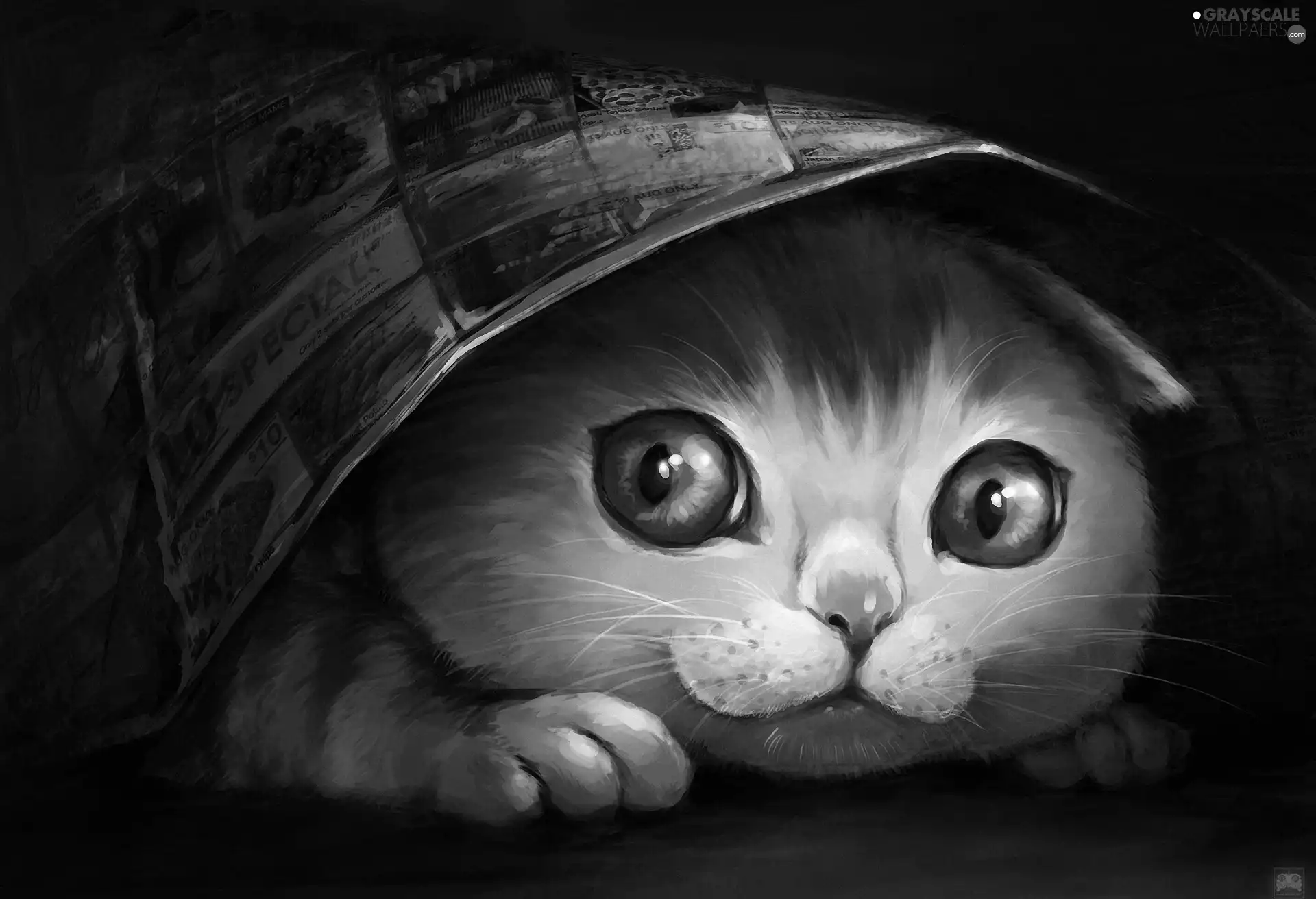 cat, Drawing