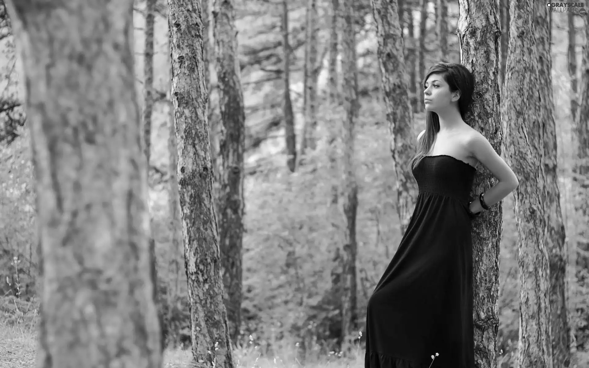 model, black, dress, forest