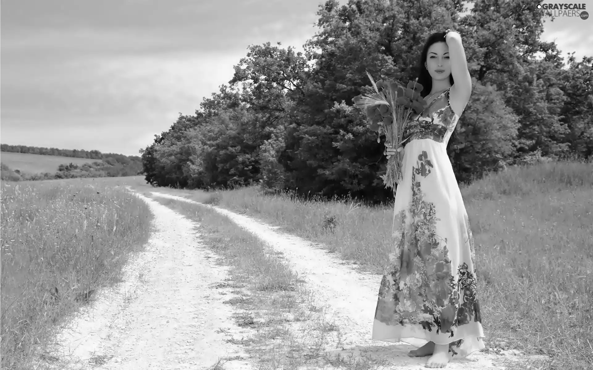 Coloured, Women, dress, bouquet, viewes, field, Way, trees, Mac