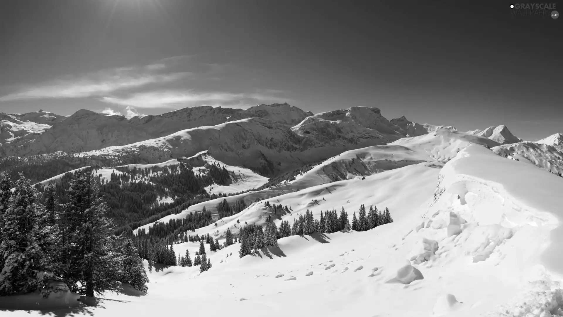 drifts, forest, height, snow, Mountains