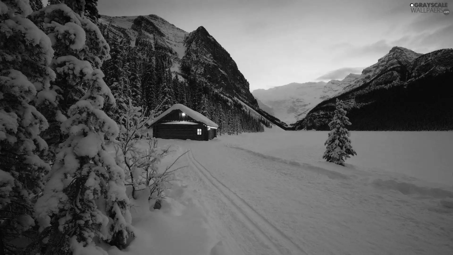 drifts, Mountains, forest, snow, house