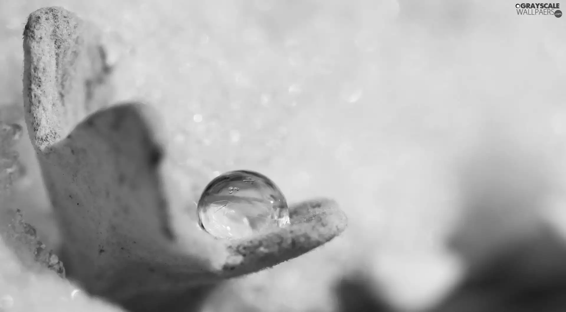 droplet, Gray, area