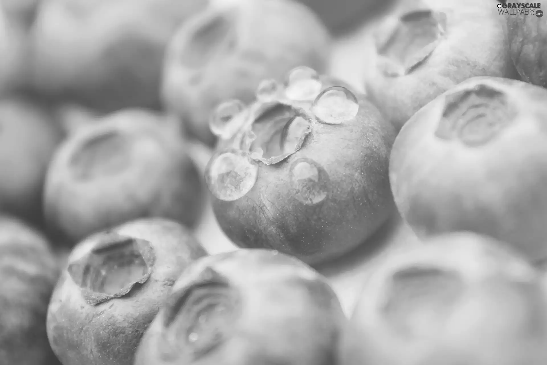 drops, purple, blueberries