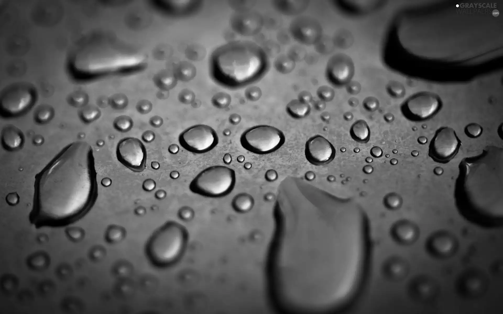 Close, drops