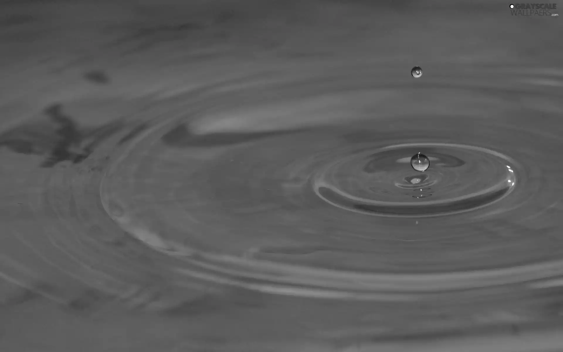 drops, Violet, water