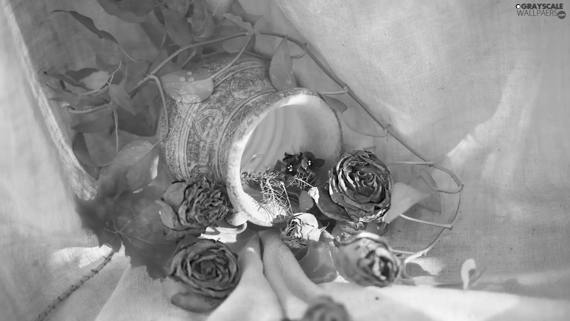 Flowers, pitcher, purple, dry, composition, roses, Saintpaulia