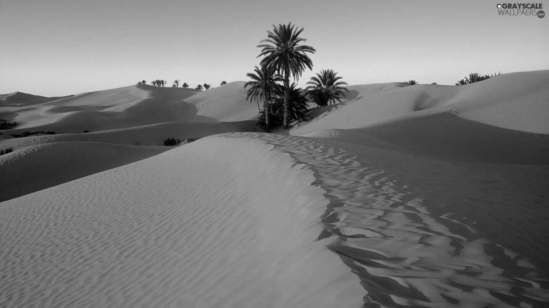 Dunes, Desert, Sand