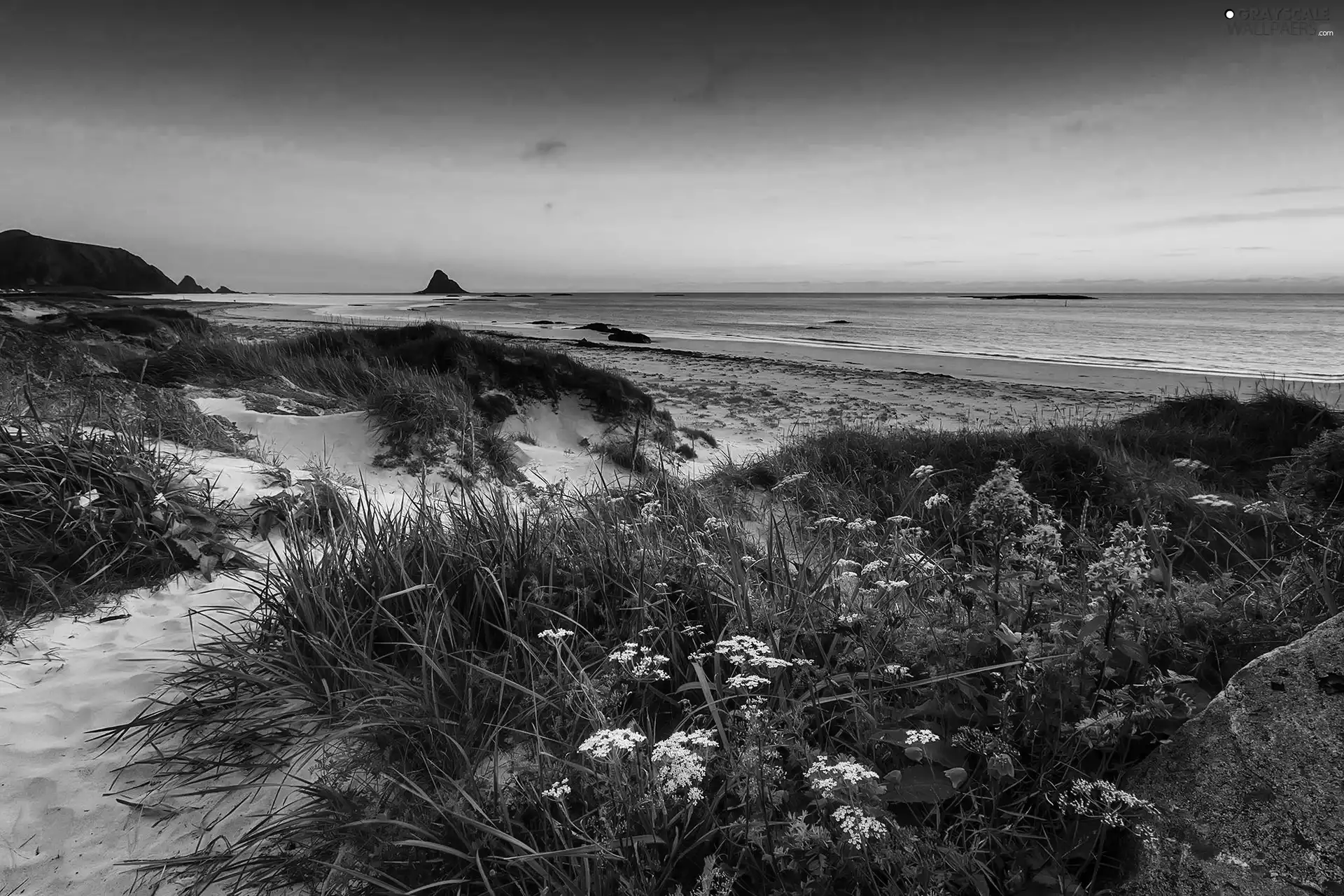 west, sea, Dunes, sun