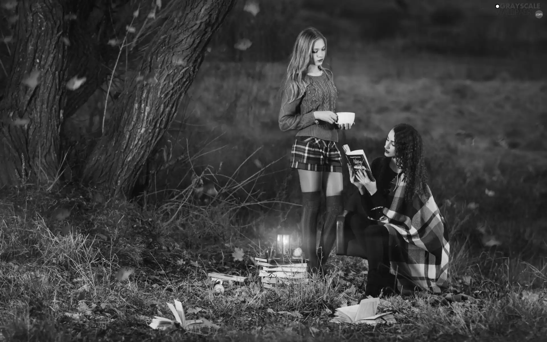 car in the meadow, forest, autumn, Leaf, Dusk, mountains, Girls, lantern