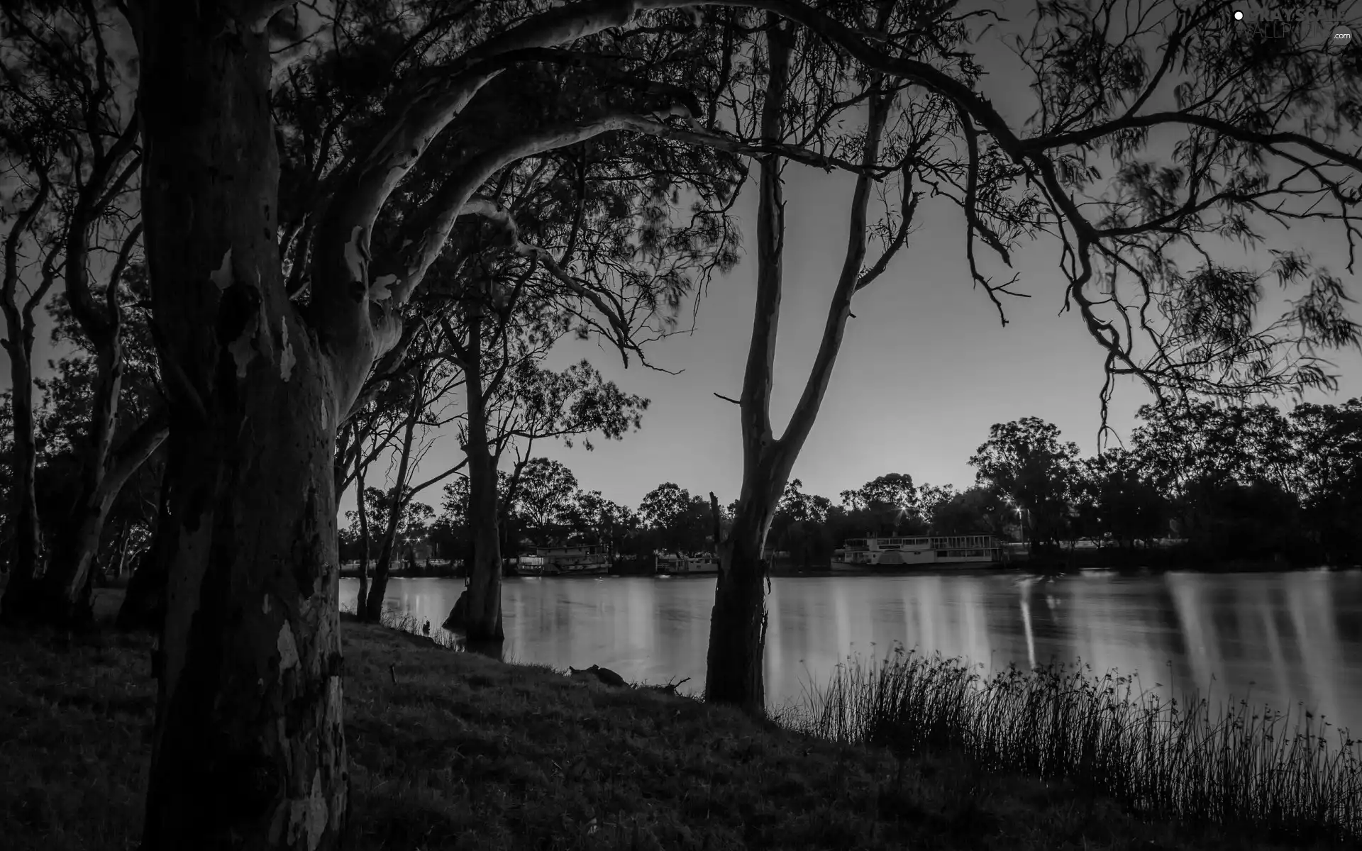 trees, River, Dusk, Park, viewes, Ship