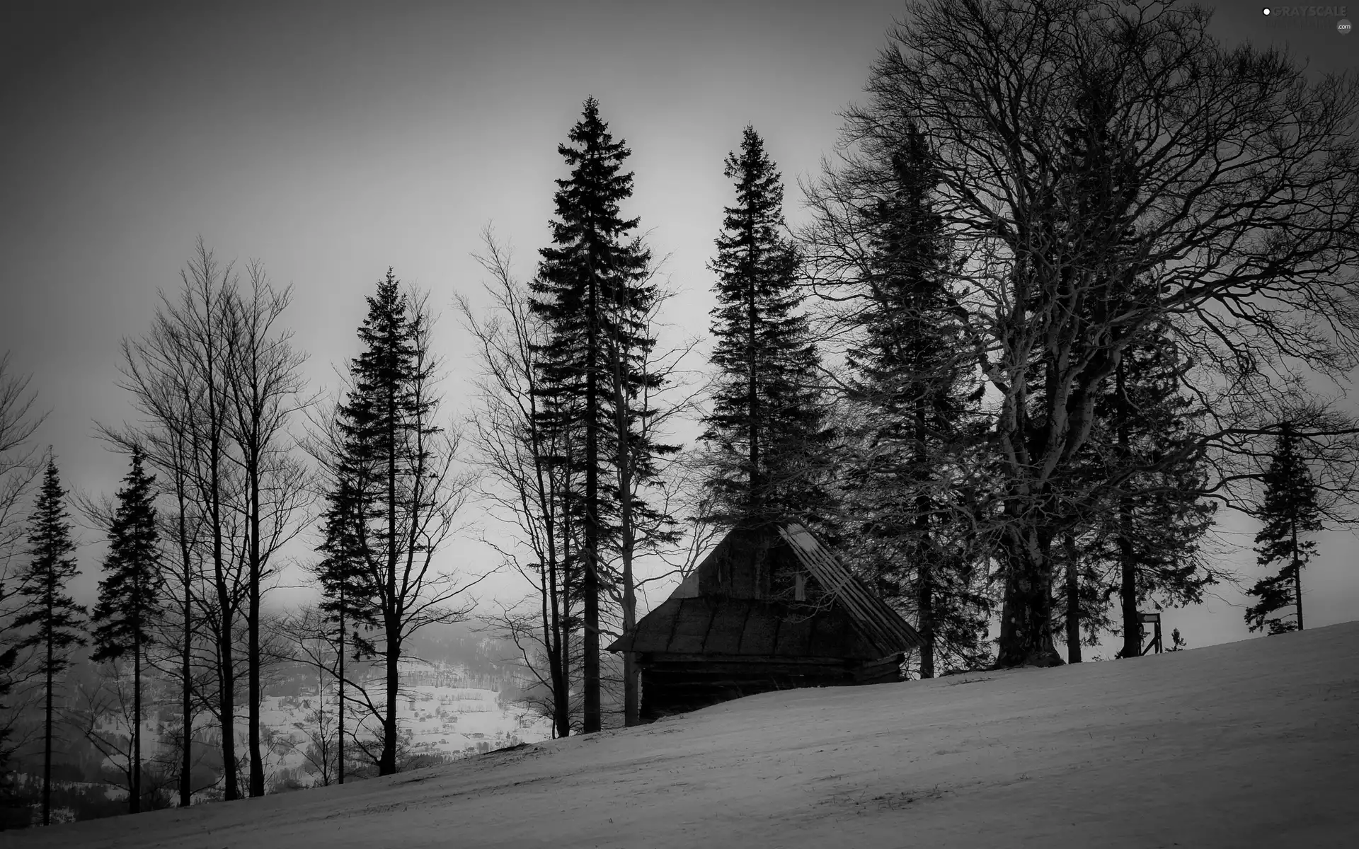 trees, shed, Dusk, winter, viewes, Mountains