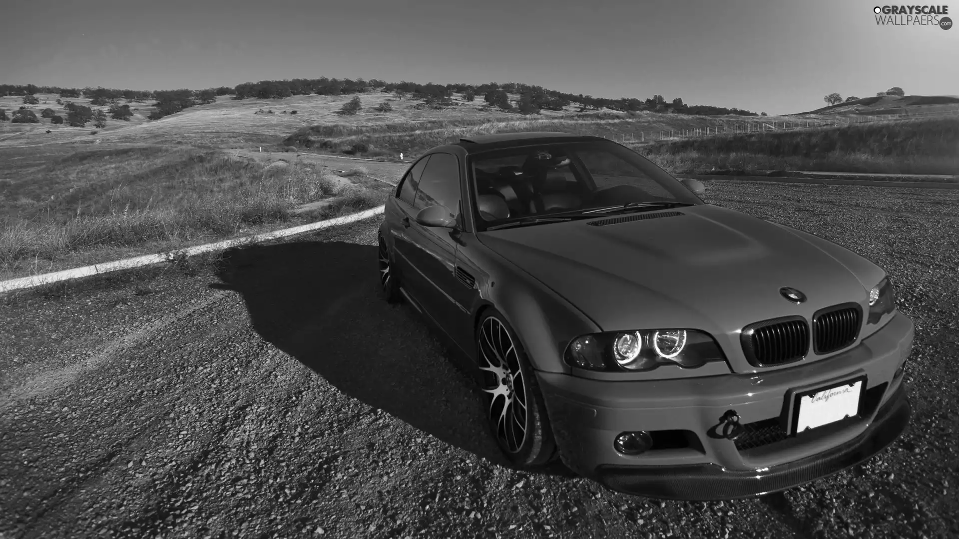 E46, field, Automobile, BMW, Red