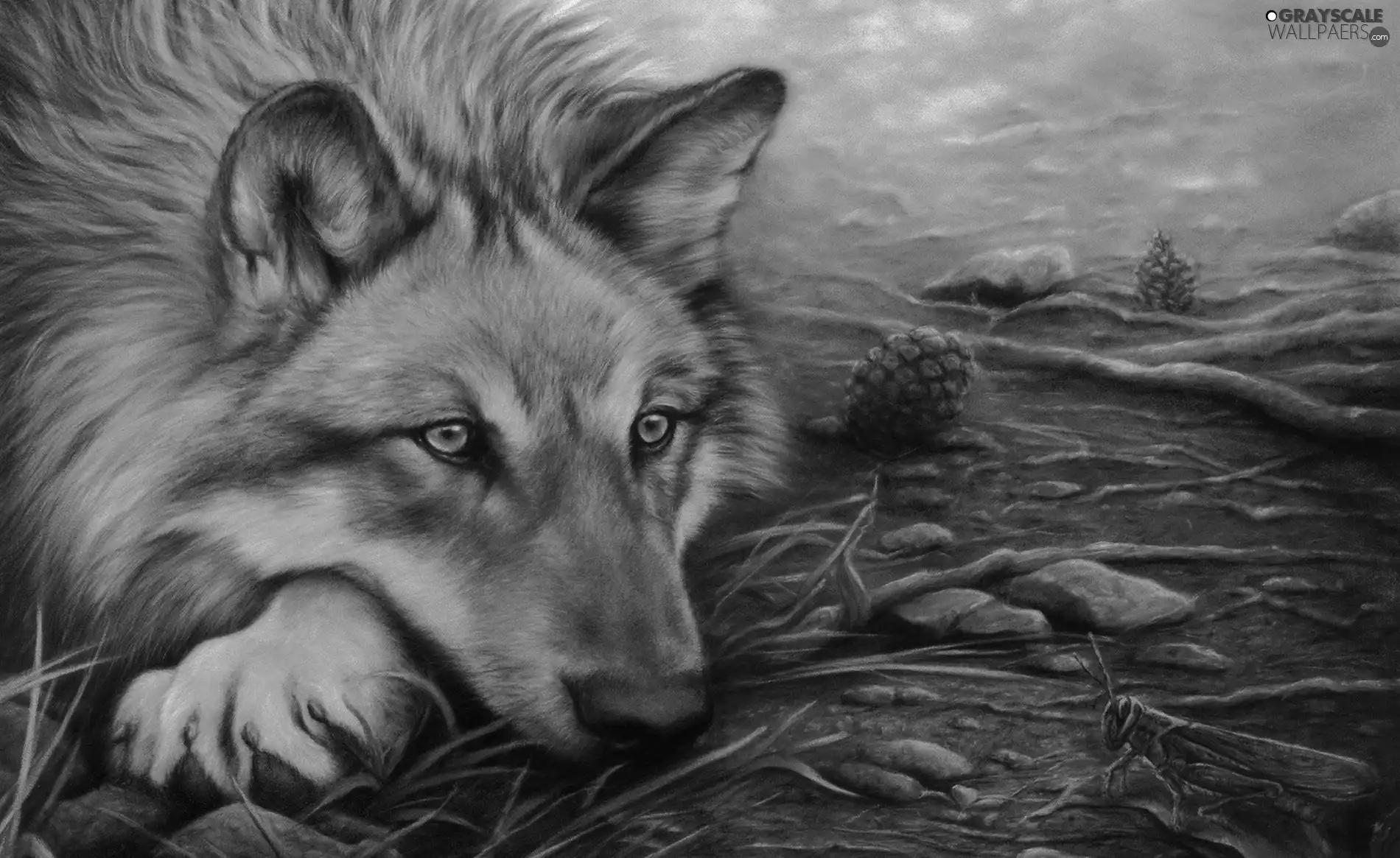 ears, Wolf, paw