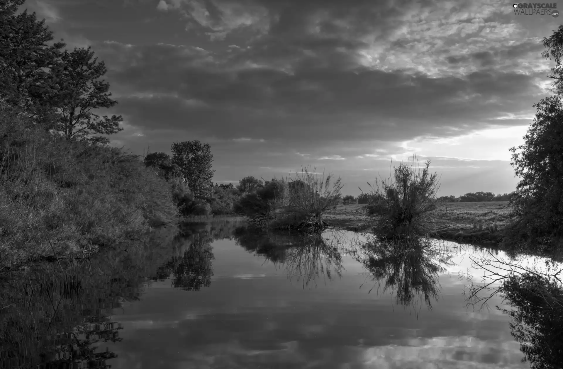 Sky, trees, sun, viewes, River, east, reflection