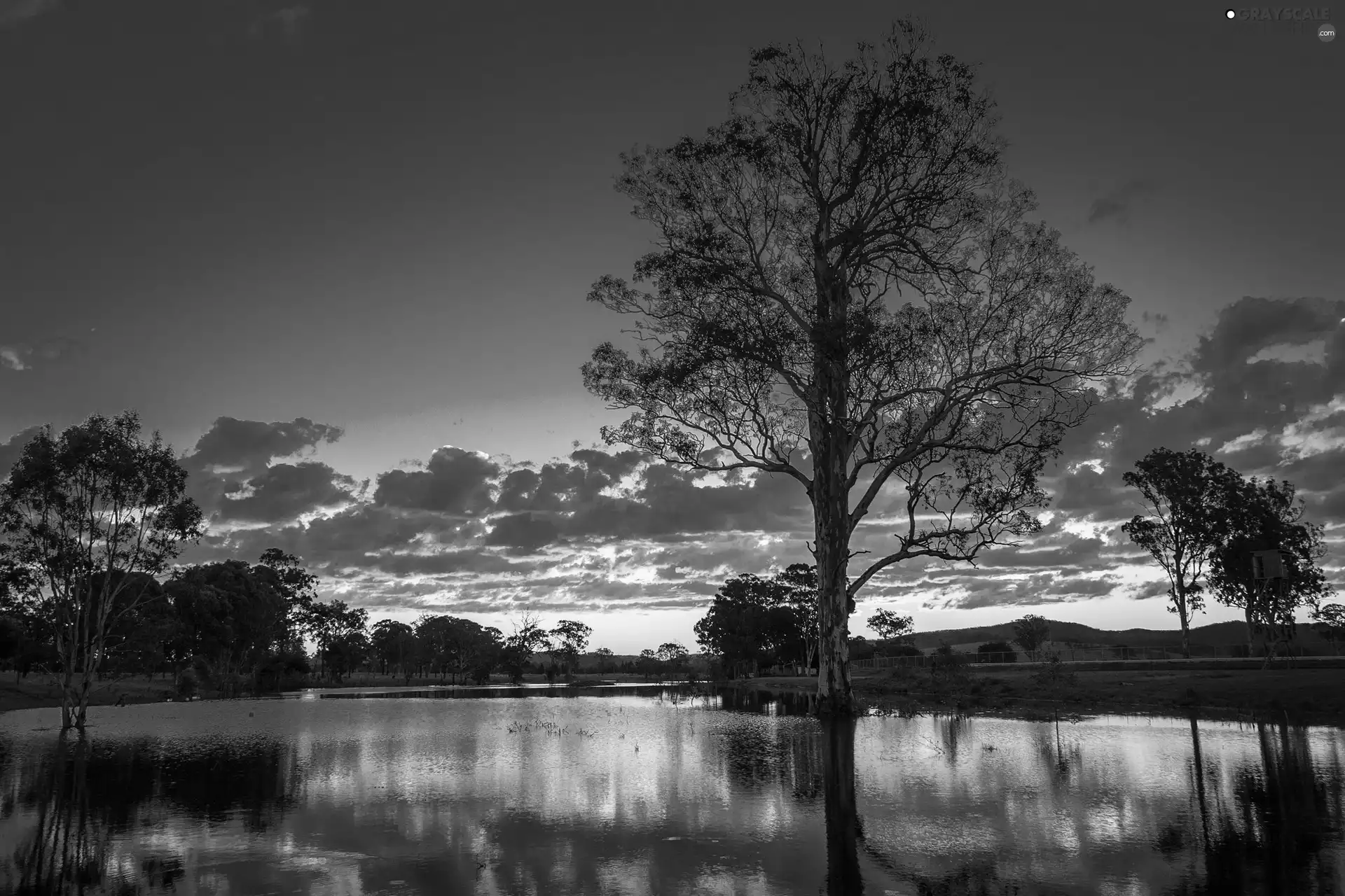 east, sun, trees, viewes, lake