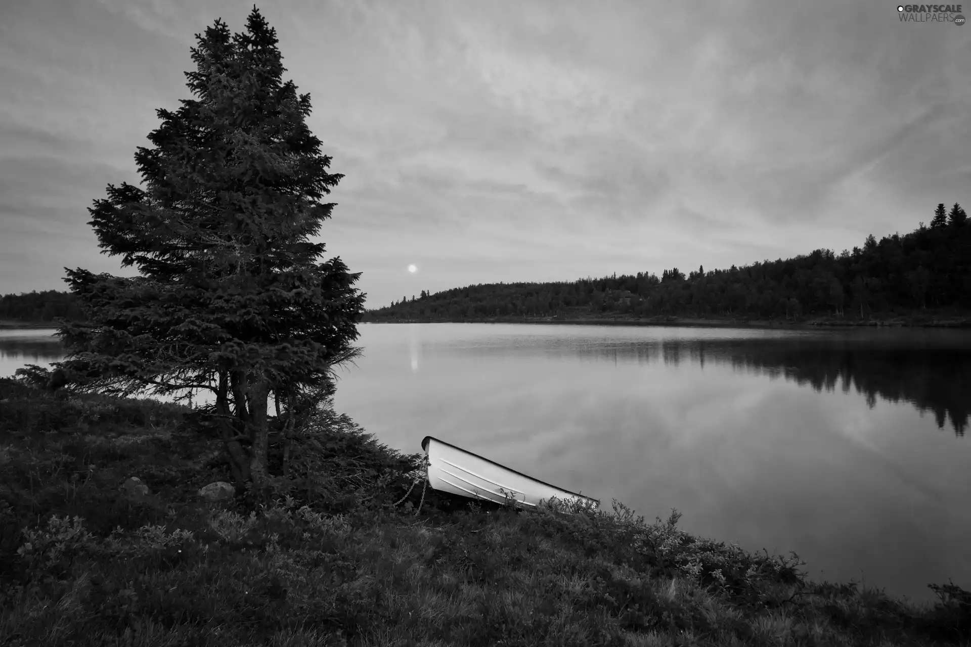 east, sun, Lodz, woods, River