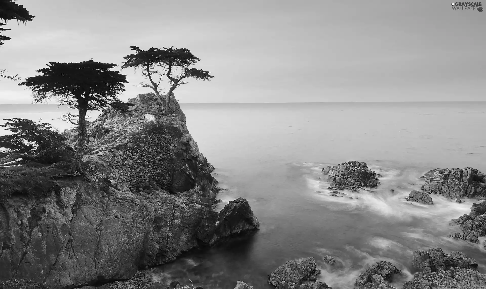 east, sun, rocks, pine, sea