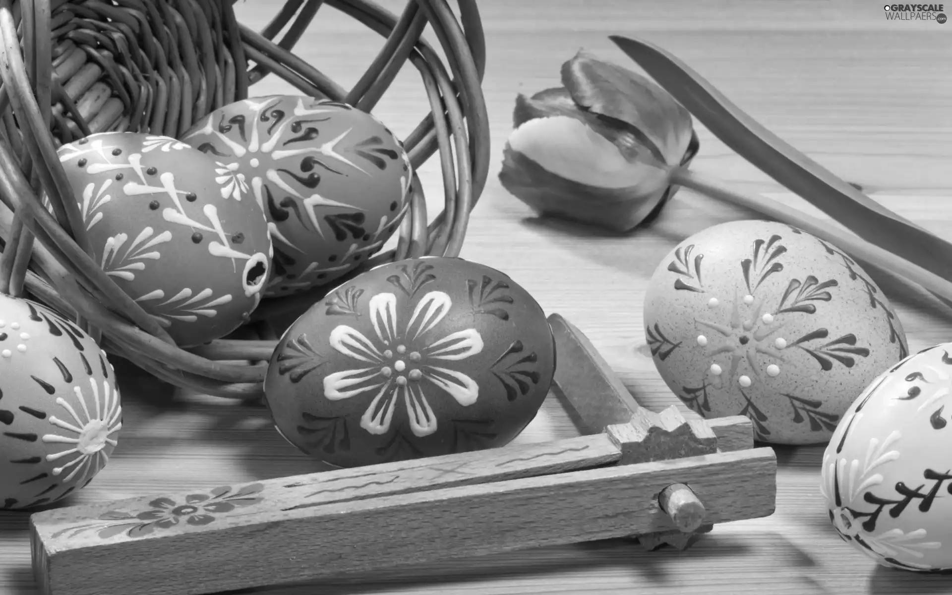 Easter, composition, eggs, tulip, basket