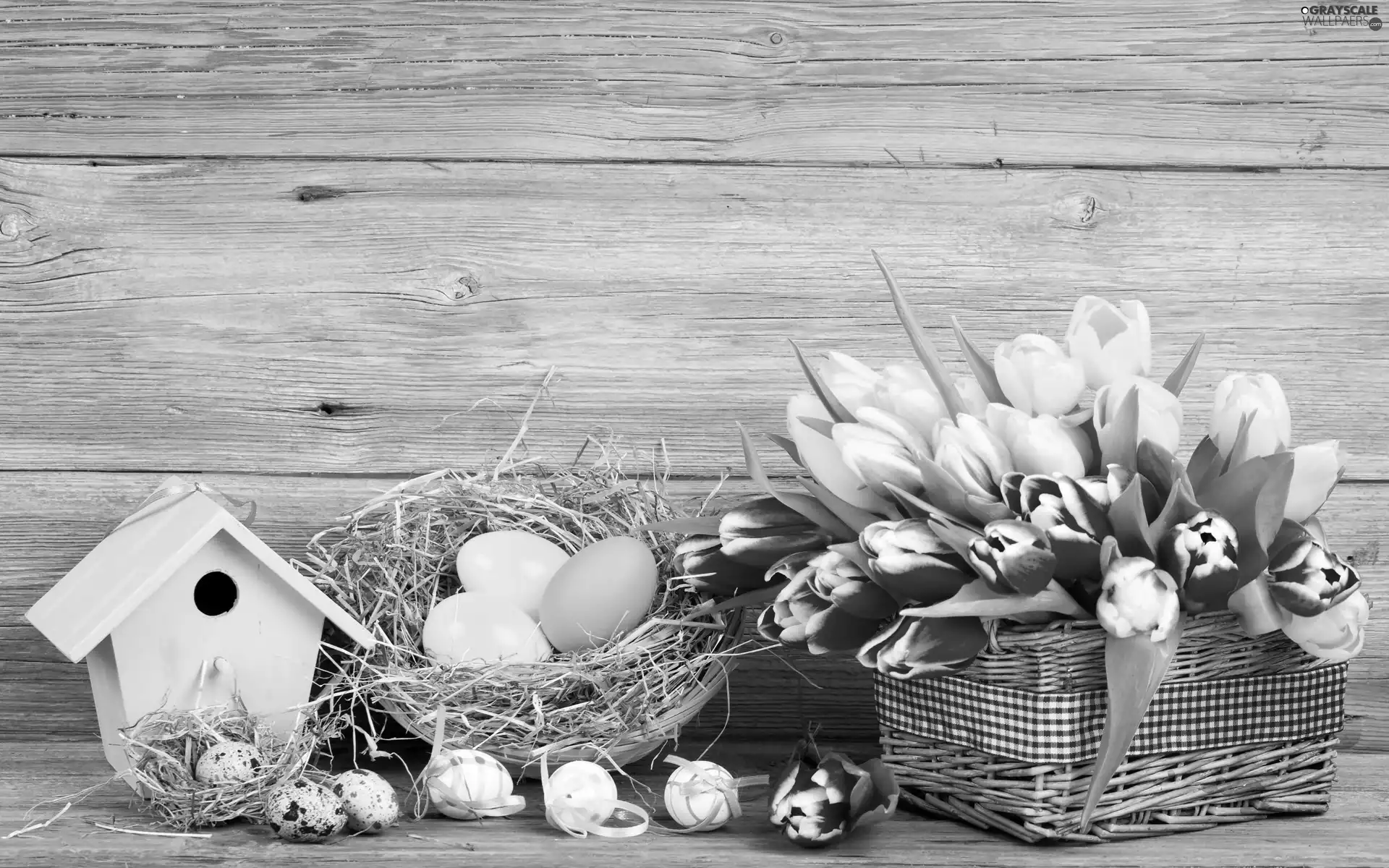 eggs, Baskets, Easter, composition, Hay, Tulips