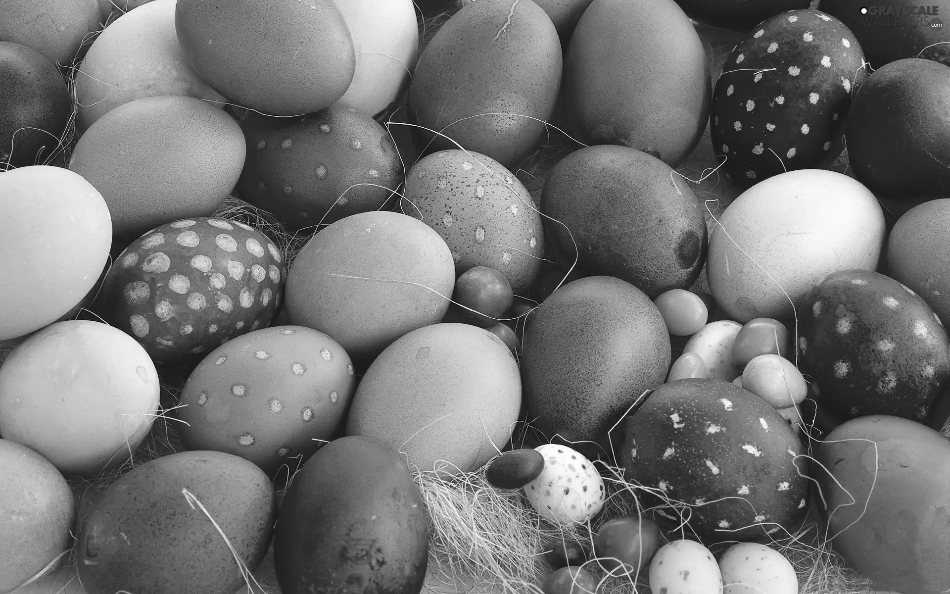 easter, color, eggs