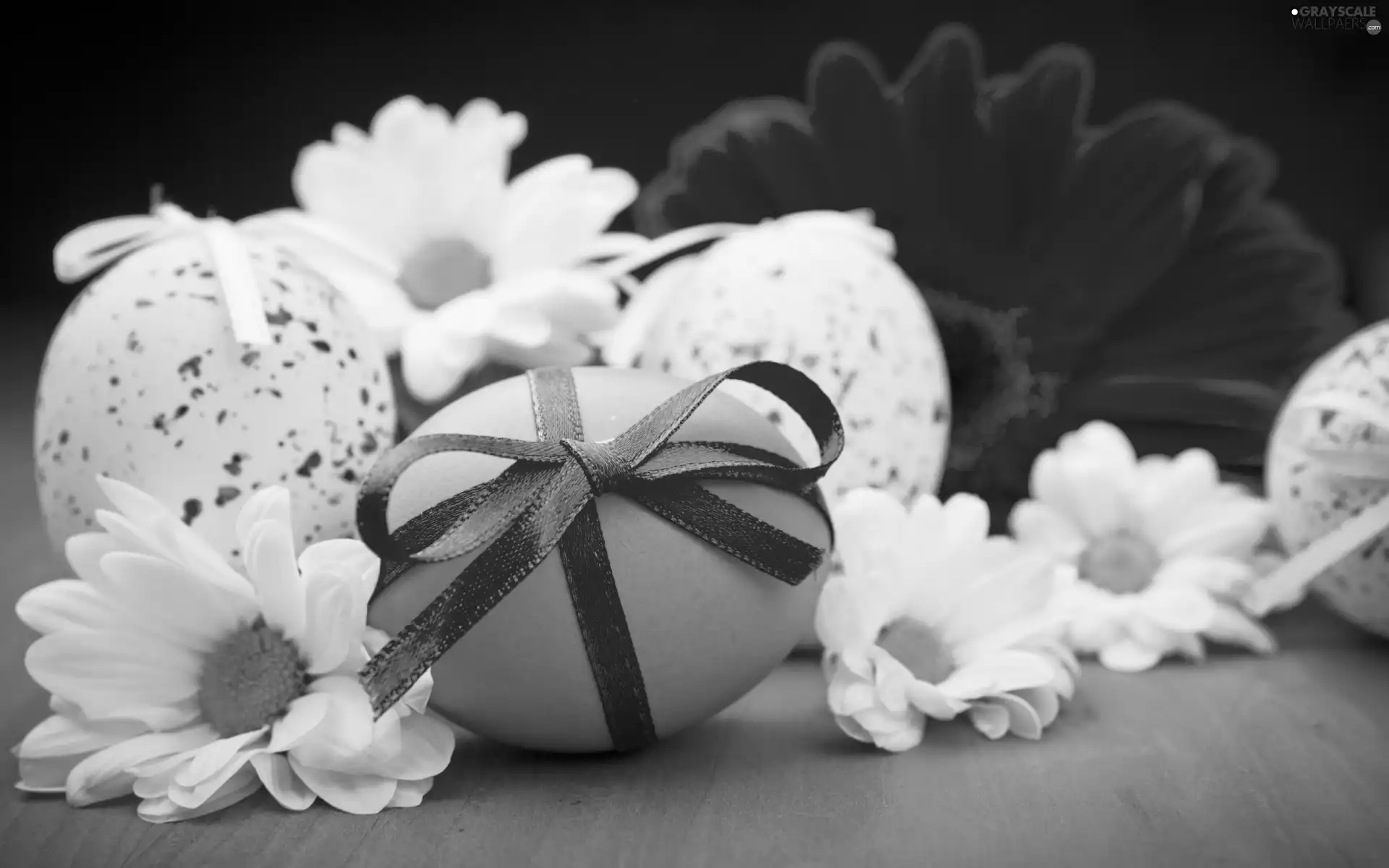 eggs, decoration, Easter, Flowers
