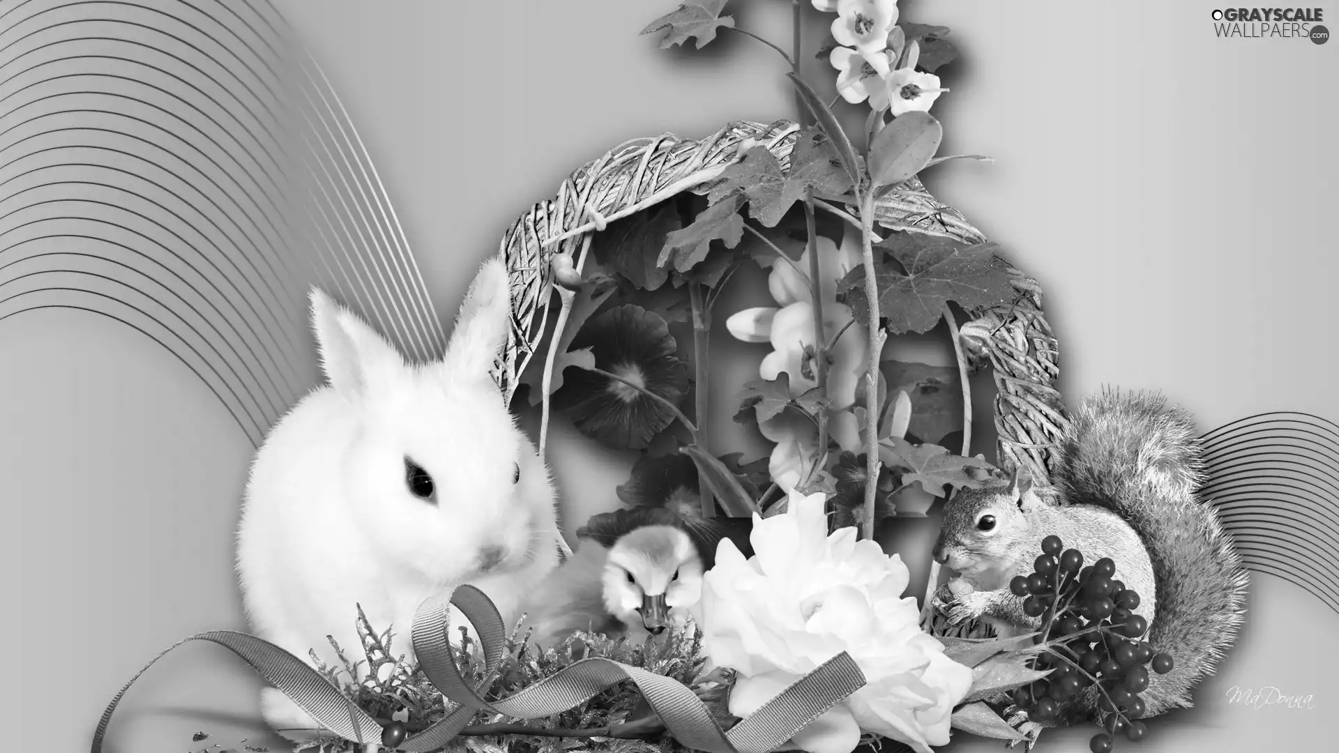 Rabbit, Flowers, Easter, squirrel