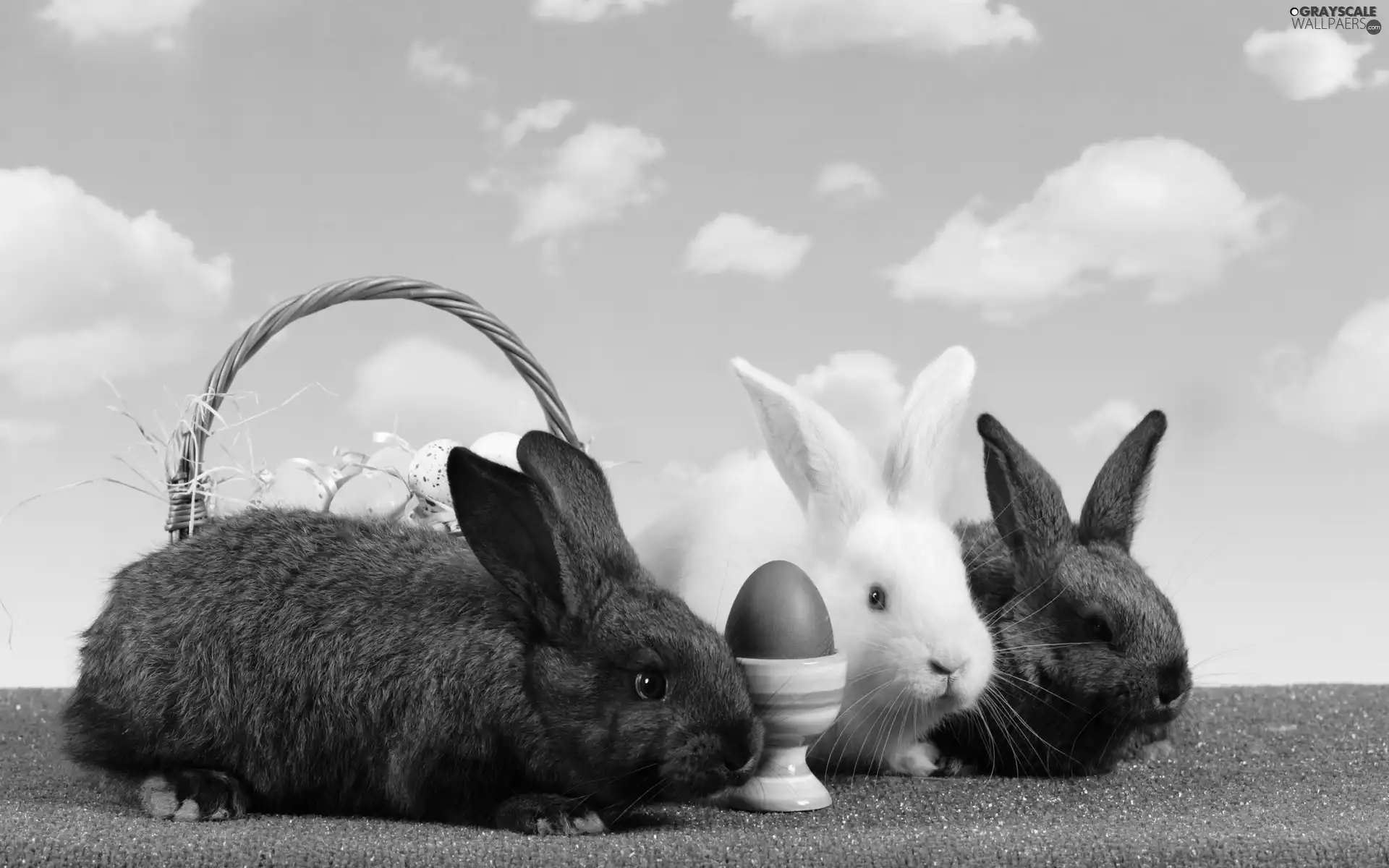 Three, basket, egg, Rabbits