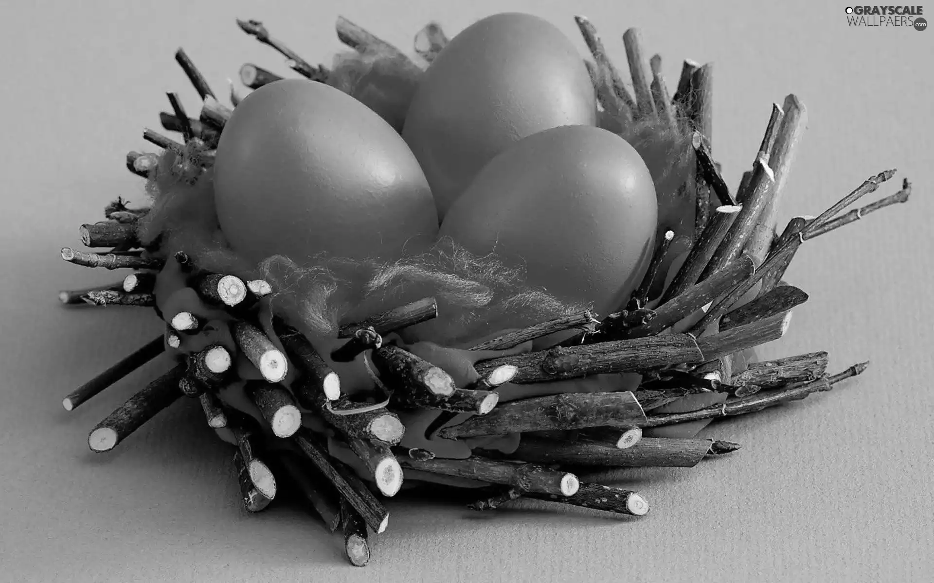 eggs, nest, Blue