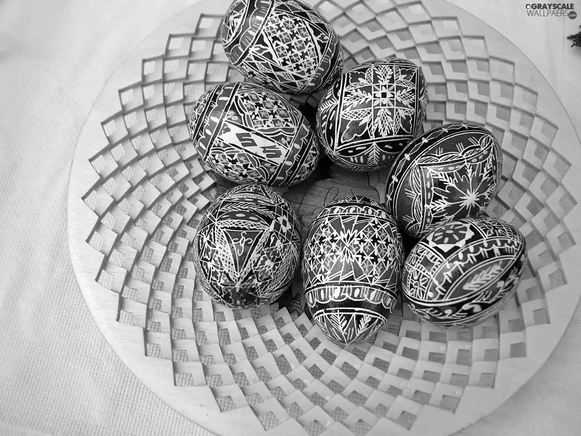eggs, tray, color