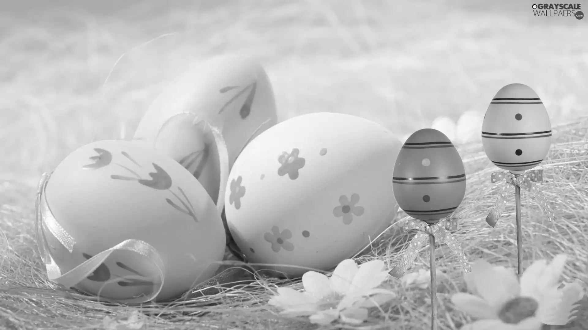 eggs, easter, grass, daisy, Green