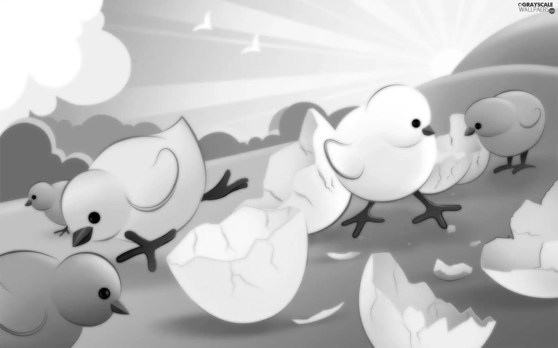 Easter, shell, eggs, chickens
