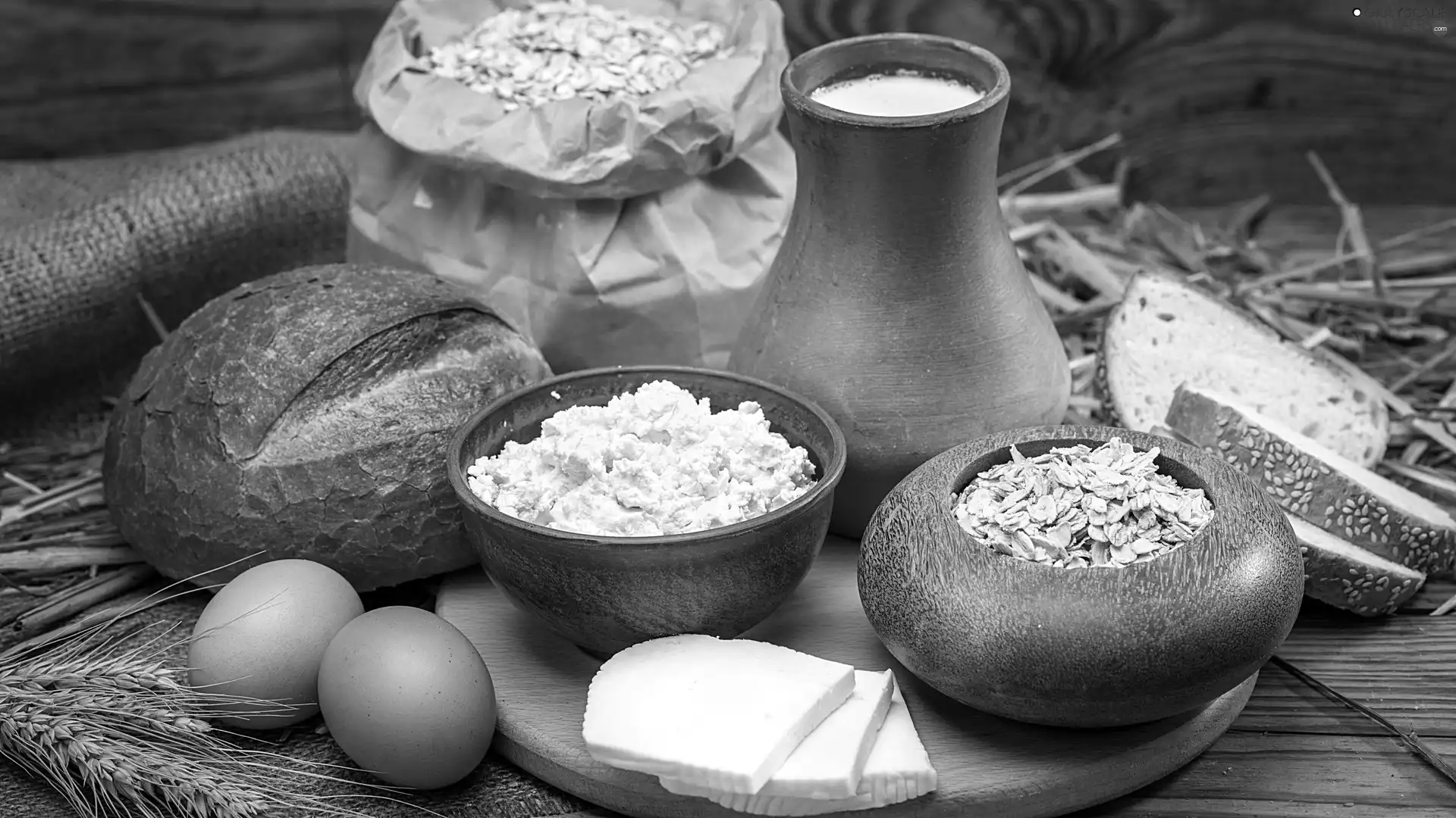 Cheese, food, milk, bread, composition, eggs, flakes