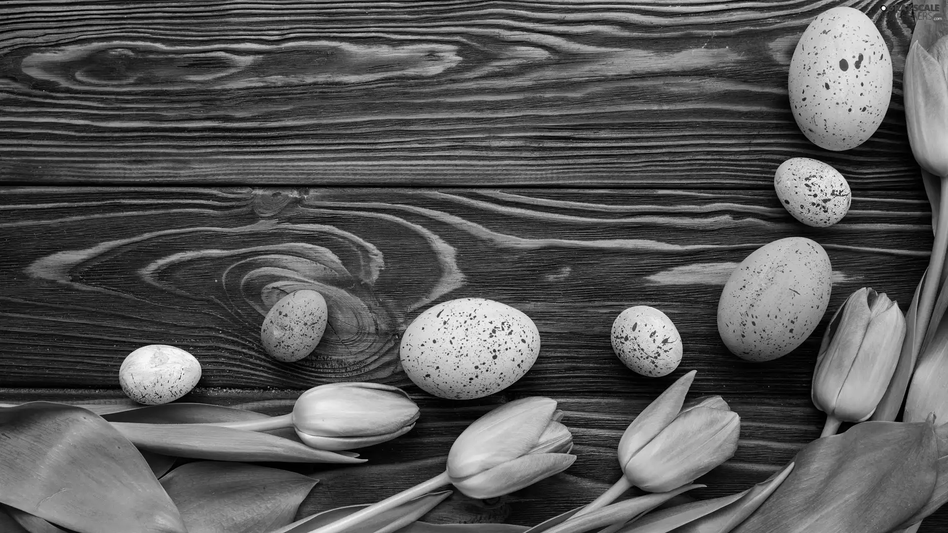 Wood, Easter, Tulips, eggs, Yellow-Pink
